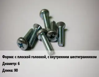 Винт с плоской головкой, с внутренним шестигранником 6х90